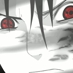 Foto do cliente Lz Tubarão